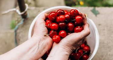 Get 20% off sitewide