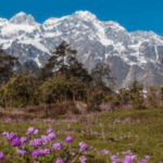 Get 5% Off Upto USD 6 on BOW Hotels